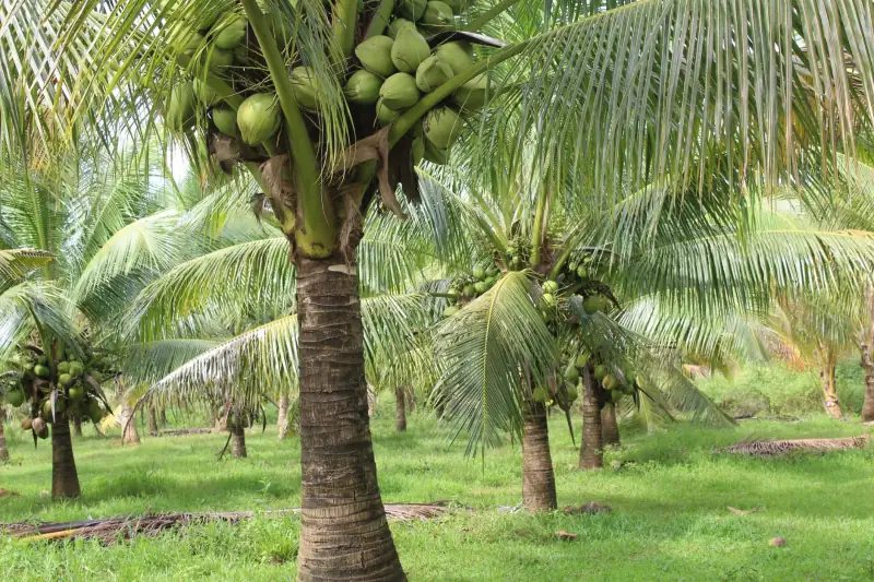 企业工装定制选购指南：如何根据行业特性匹配西服面料与版型