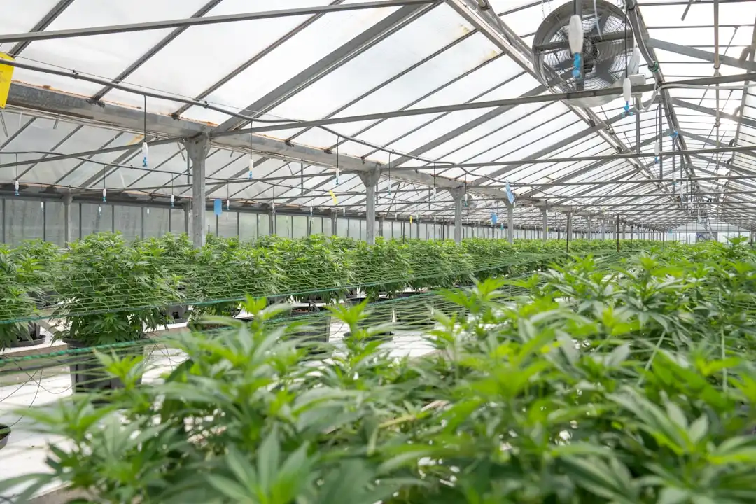 2025版服装定制量体标准更新，企业工装采购需关注哪些细节