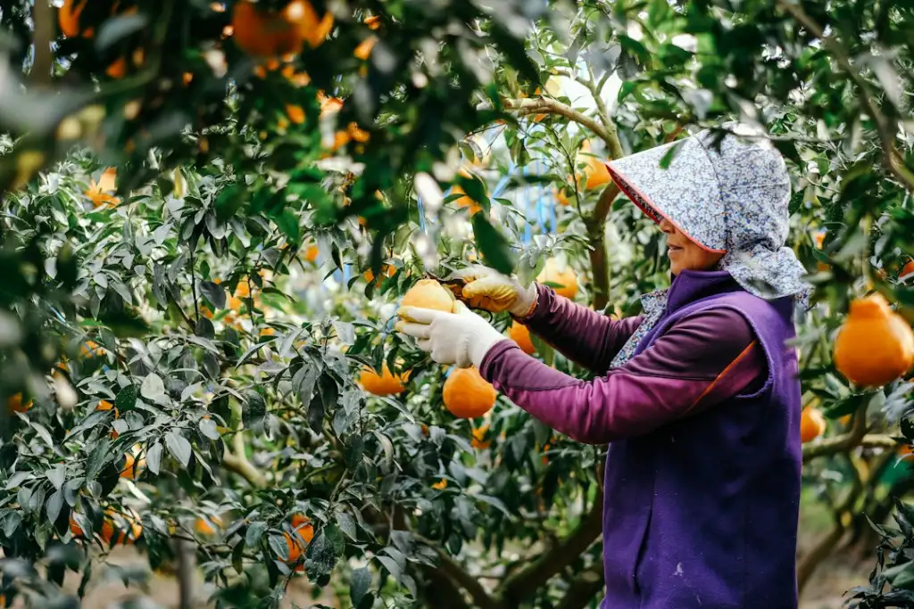 企业工装定制中面料选择与工艺标准的专业解析
